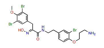 16-Debromoaplysamine 4